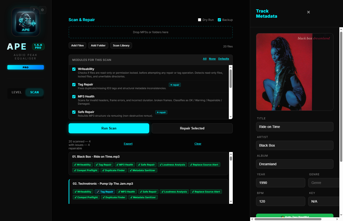 APE Pro scan interface for cleaning DJ music libraries
